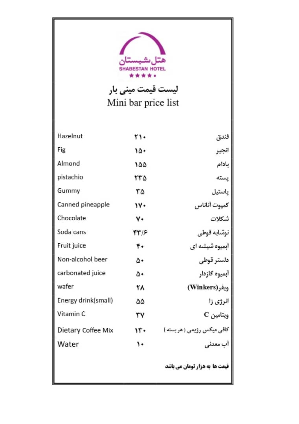 مینی سرویس