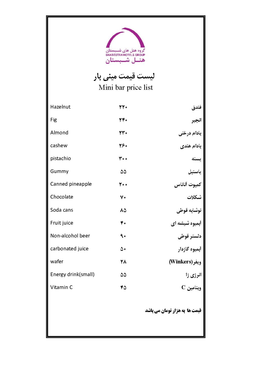 مینی سرویس